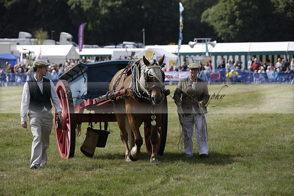 The Alresford Agricultural Show Tichbourne on Saturday 2013.09.07 www.polopictures.co.uk