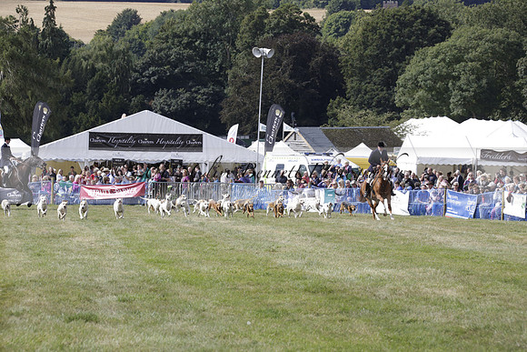 The Alresford Agricultural Show Tichbourne on Saturday 2013.09.07 www.polopictures.co.uk