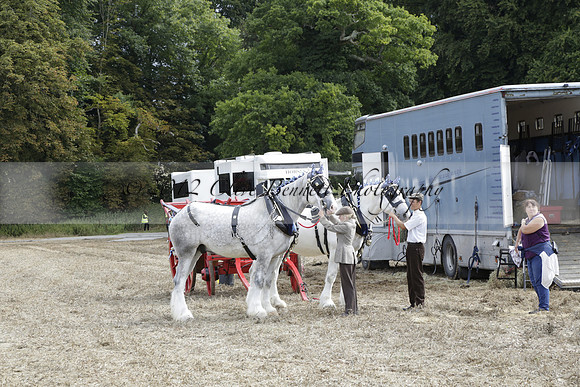 The Alresford Agricultural Show Tichbourne on Saturday 2013.09.07 www.polopictures.co.uk