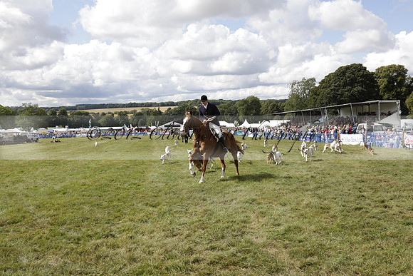 The Alresford Agricultural Show Tichbourne on Saturday 2013.09.07 www.polopictures.co.uk