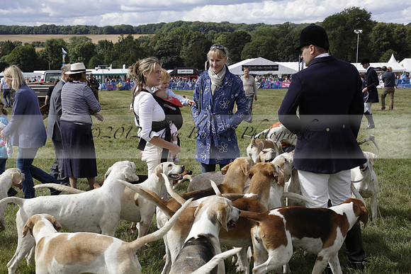 The Alresford Agricultural Show Tichbourne on Saturday 2013.09.07 www.polopictures.co.uk
