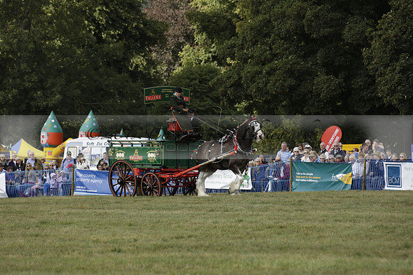 The Alresford Agricultural Show Tichbourne on Saturday 2013.09.07 www.polopictures.co.uk