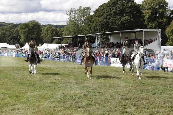 The Alresford Agricultural Show Tichbourne on Saturday 2013.09.07 www.polopictures.co.uk