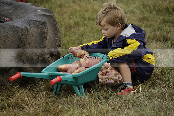 The Alresford Agricultural Show Tichbourne on Saturday 2013.09.07 www.polopictures.co.uk