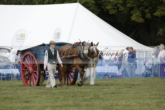 The Alresford Agricultural Show Tichbourne on Saturday 2013.09.07 www.polopictures.co.uk