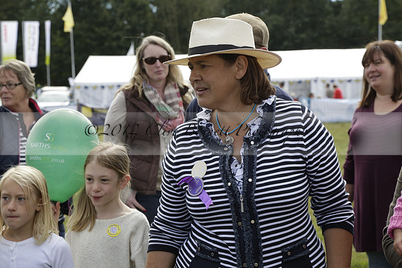 The Alresford Agricultural Show Tichbourne on Saturday 2013.09.07 www.polopictures.co.uk