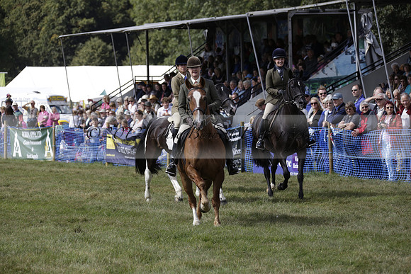The Alresford Agricultural Show Tichbourne on Saturday 2013.09.07 www.polopictures.co.uk