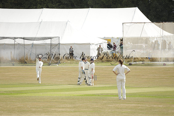 The Alresford Agricultural Show Tichbourne on Saturday 2013.09.07 www.polopictures.co.uk