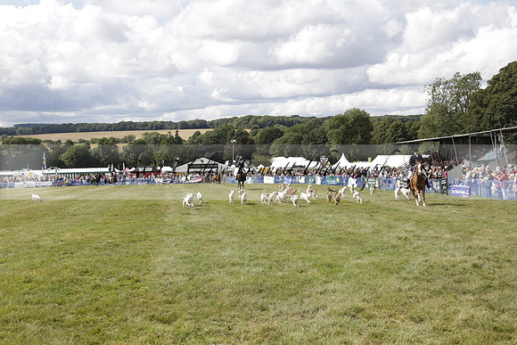 The Alresford Agricultural Show Tichbourne on Saturday 2013.09.07 www.polopictures.co.uk
