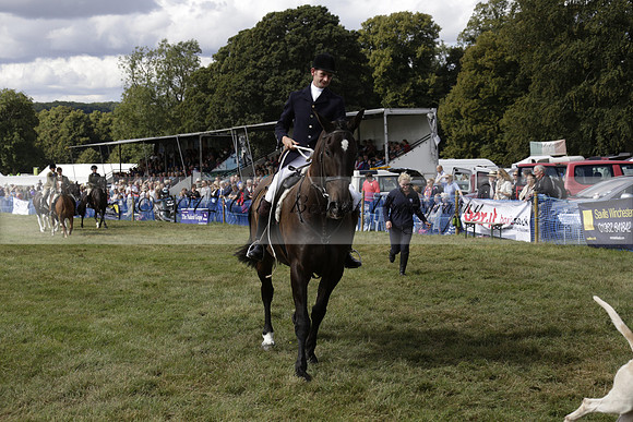 The Alresford Agricultural Show Tichbourne on Saturday 2013.09.07 www.polopictures.co.uk