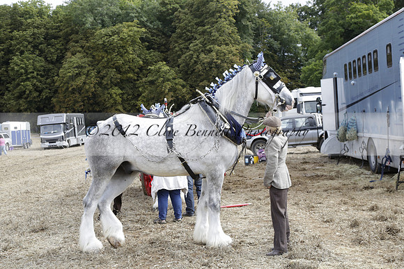 The Alresford Agricultural Show Tichbourne on Saturday 2013.09.07 www.polopictures.co.uk