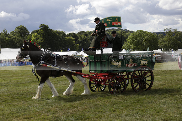The Alresford Agricultural Show Tichbourne on Saturday 2013.09.07 www.polopictures.co.uk