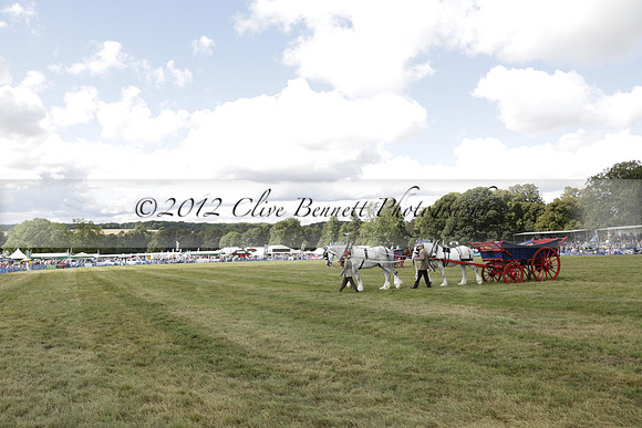 The Alresford Agricultural Show Tichbourne on Saturday 2013.09.07 www.polopictures.co.uk