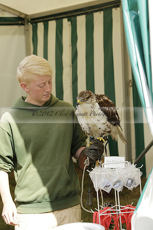 The Alresford Agricultural Show Tichbourne on Saturday 2013.09.07 www.polopictures.co.uk
