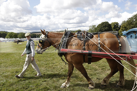 The Alresford Agricultural Show Tichbourne on Saturday 2013.09.07 www.polopictures.co.uk
