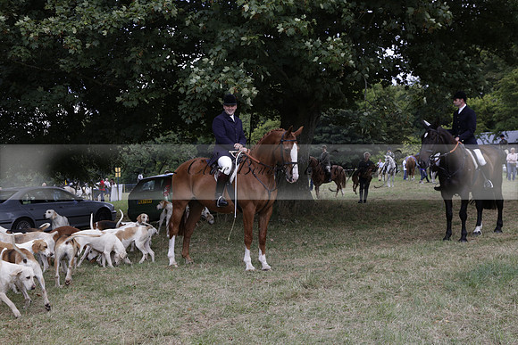 The Alresford Agricultural Show Tichbourne on Saturday 2013.09.07 www.polopictures.co.uk