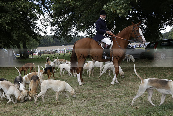 The Alresford Agricultural Show Tichbourne on Saturday 2013.09.07 www.polopictures.co.uk