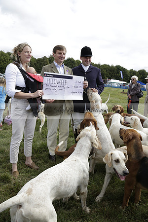 The Alresford Agricultural Show Tichbourne on Saturday 2013.09.07 www.polopictures.co.uk
