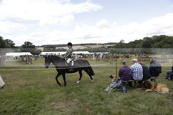 The Alresford Agricultural Show Tichbourne on Saturday 2013.09.07 www.polopictures.co.uk