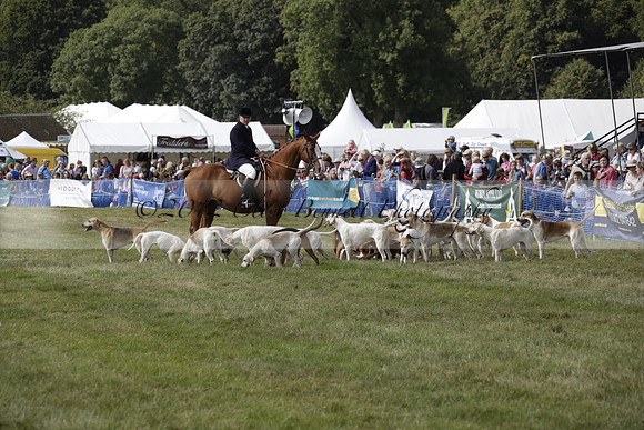 The Alresford Agricultural Show Tichbourne on Saturday 2013.09.07 www.polopictures.co.uk
