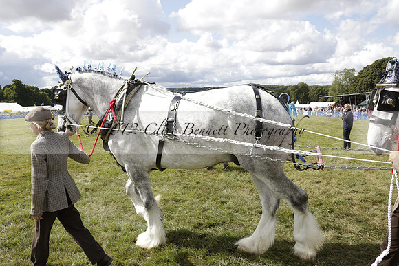 The Alresford Agricultural Show Tichbourne on Saturday 2013.09.07 www.polopictures.co.uk
