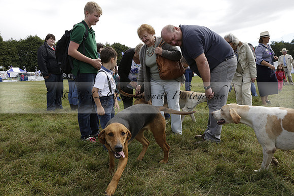 The Alresford Agricultural Show Tichbourne on Saturday 2013.09.07 www.polopictures.co.uk