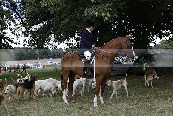 The Alresford Agricultural Show Tichbourne on Saturday 2013.09.07 www.polopictures.co.uk