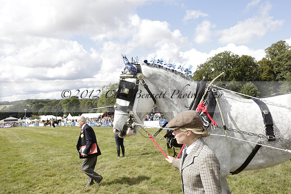 The Alresford Agricultural Show Tichbourne on Saturday 2013.09.07 www.polopictures.co.uk
