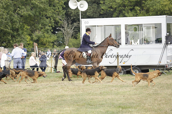 The Alresford Agricultural Show Tichbourne on Saturday 2013.09.07 www.polopictures.co.uk