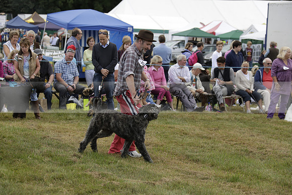 The Alresford Agricultural Show Tichbourne on Saturday 2013.09.07 www.polopictures.co.uk