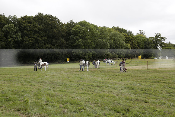 The Alresford Agricultural Show Tichbourne on Saturday 2013.09.07 www.polopictures.co.uk