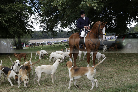The Alresford Agricultural Show Tichbourne on Saturday 2013.09.07 www.polopictures.co.uk