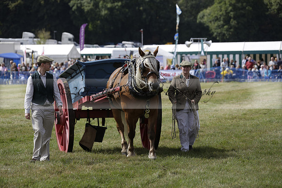 The Alresford Agricultural Show Tichbourne on Saturday 2013.09.07 www.polopictures.co.uk