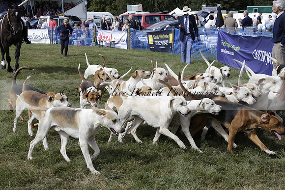 The Alresford Agricultural Show Tichbourne on Saturday 2013.09.07 www.polopictures.co.uk