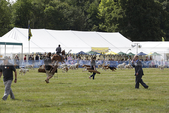 The Alresford Agricultural Show Tichbourne on Saturday 2013.09.07 www.polopictures.co.uk