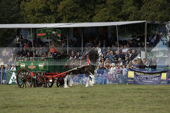 The Alresford Agricultural Show Tichbourne on Saturday 2013.09.07 www.polopictures.co.uk