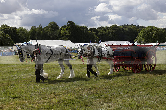 The Alresford Agricultural Show Tichbourne on Saturday 2013.09.07 www.polopictures.co.uk