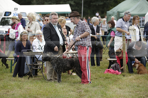 The Alresford Agricultural Show Tichbourne on Saturday 2013.09.07 www.polopictures.co.uk