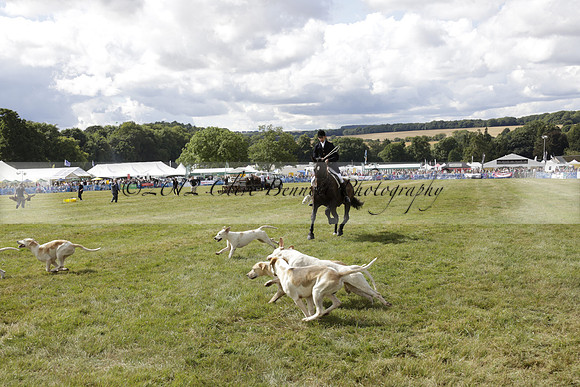 The Alresford Agricultural Show Tichbourne on Saturday 2013.09.07 www.polopictures.co.uk