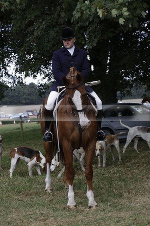 The Alresford Agricultural Show Tichbourne on Saturday 2013.09.07 www.polopictures.co.uk