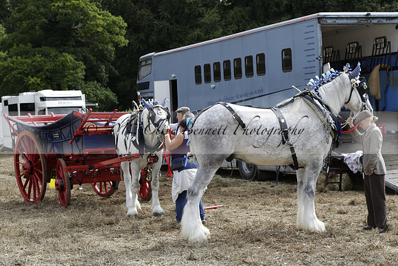 The Alresford Agricultural Show Tichbourne on Saturday 2013.09.07 www.polopictures.co.uk