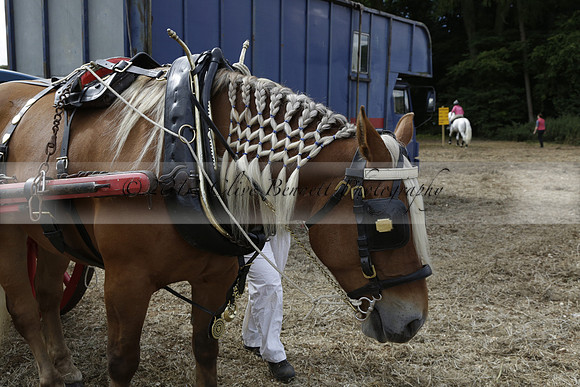 The Alresford Agricultural Show Tichbourne on Saturday 2013.09.07 www.polopictures.co.uk