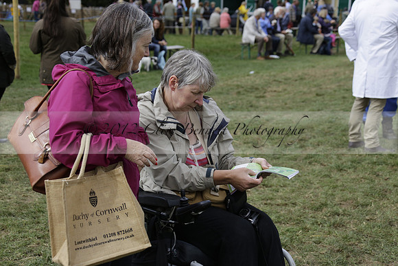 The Alresford Agricultural Show Tichbourne on Saturday 2013.09.07 www.polopictures.co.uk