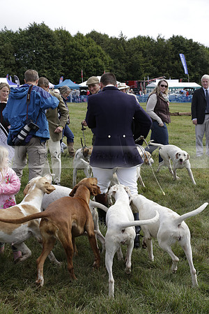 The Alresford Agricultural Show Tichbourne on Saturday 2013.09.07 www.polopictures.co.uk
