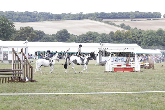 The Alresford Agricultural Show Tichbourne on Saturday 2013.09.07 www.polopictures.co.uk
