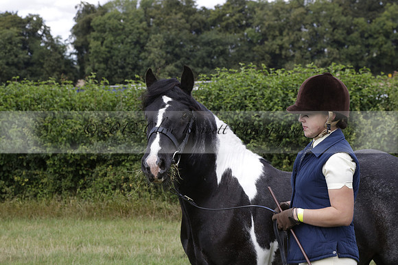 The Alresford Agricultural Show Tichbourne on Saturday 2013.09.07 www.polopictures.co.uk