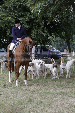 The Alresford Agricultural Show Tichbourne on Saturday 2013.09.07 www.polopictures.co.uk