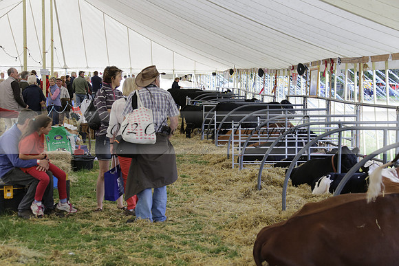 The Alresford Agricultural Show Tichbourne on Saturday 2013.09.07 www.polopictures.co.uk