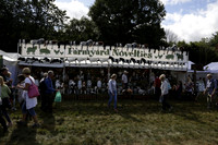 The Alresford Agricultural Show Tichbourne on Saturday 2013.09.07 www.polopictures.co.uk