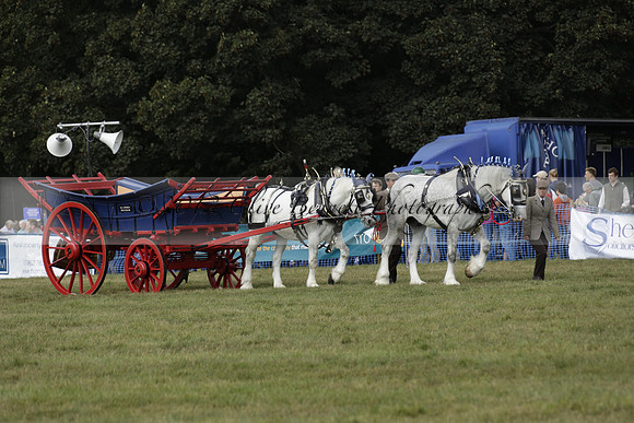 The Alresford Agricultural Show Tichbourne on Saturday 2013.09.07 www.polopictures.co.uk